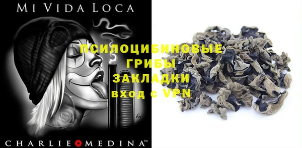 сатива Лихославль