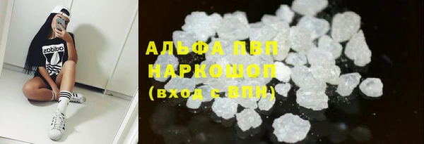 сатива Лихославль