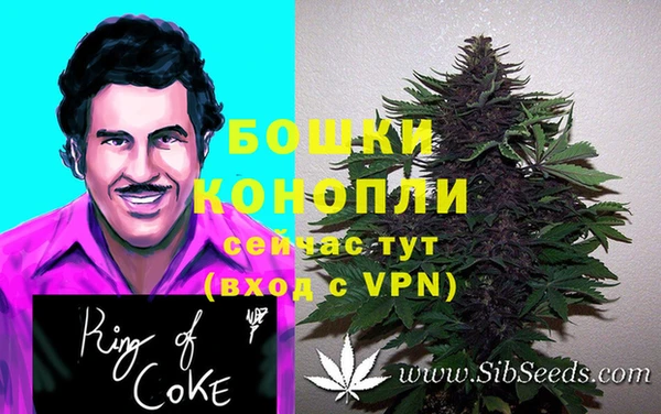 сатива Лихославль