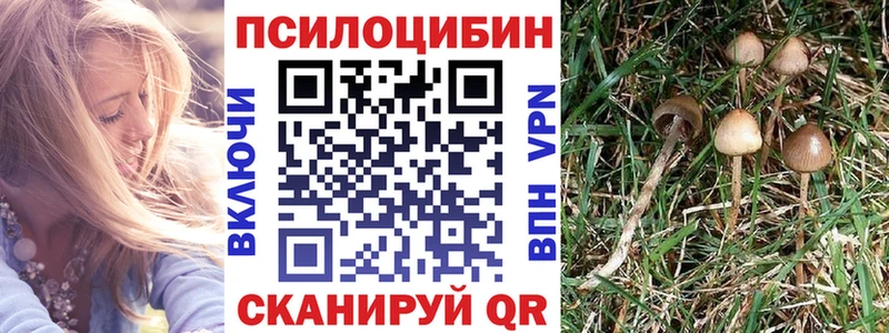Псилоцибиновые грибы Psilocybine cubensis  Сосенский 